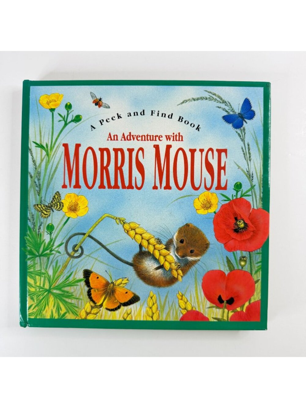2/$6 An Adventure with Morris Mouse Peek and Find book (Hardcover)